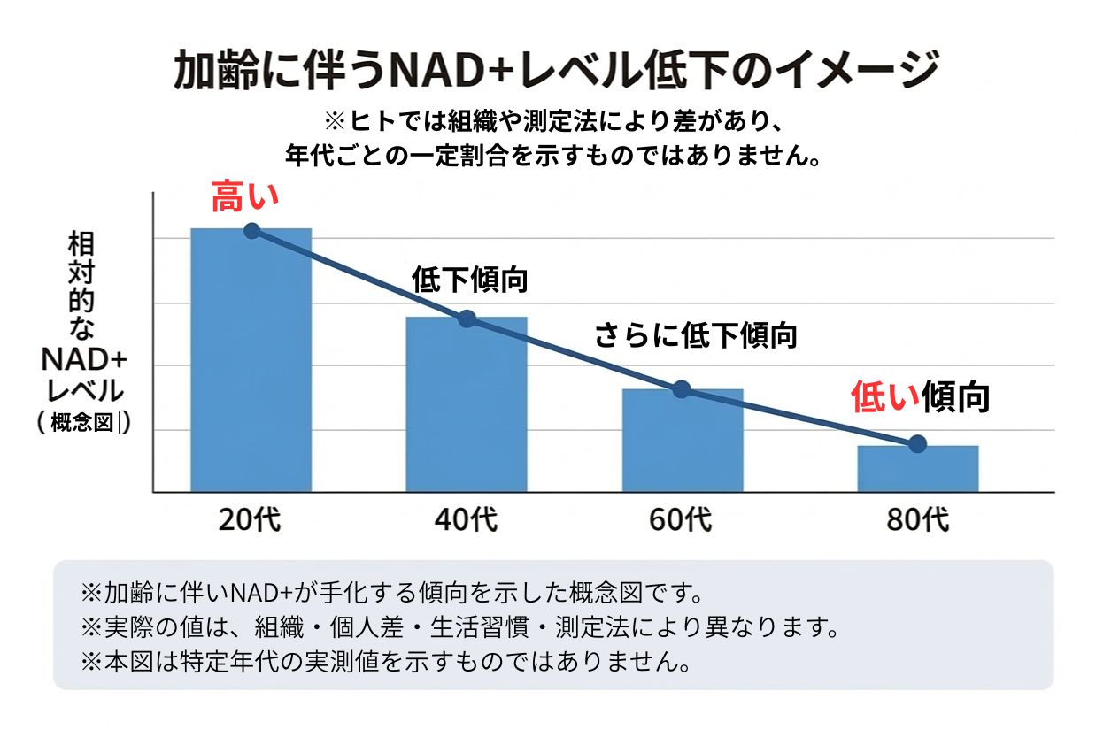 NADの減少グラフ